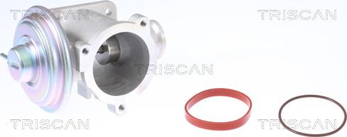 Triscan 8813 11003 - Valvola ricircolo gas scarico-EGR autozon.pro