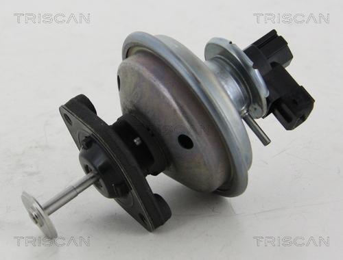 Triscan 8813 11002 - Valvola ricircolo gas scarico-EGR autozon.pro