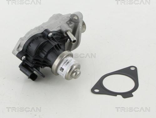 Triscan 8813 11007 - Valvola ricircolo gas scarico-EGR autozon.pro