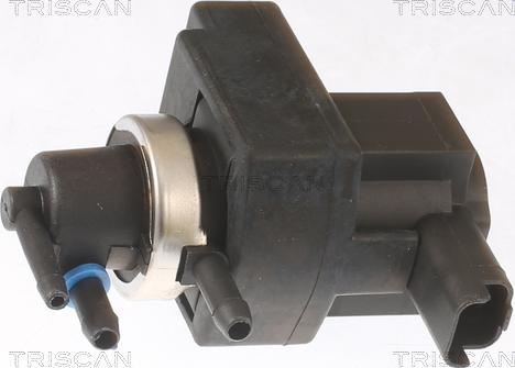 Triscan 8813 11017 - Convertitore pressione, Controllo gas scarico autozon.pro