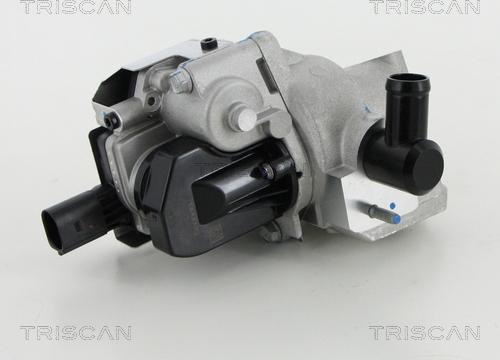 Triscan 8813 18046 - Valvola ricircolo gas scarico-EGR autozon.pro