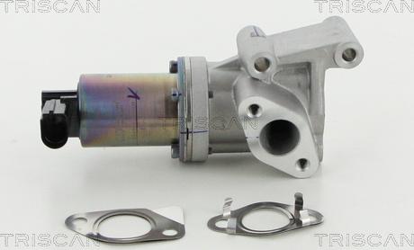 Triscan 8813 18038 - Valvola ricircolo gas scarico-EGR autozon.pro