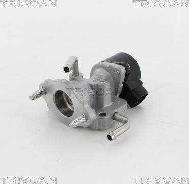 Triscan 8813 13059 - Valvola ricircolo gas scarico-EGR autozon.pro