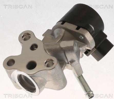 Triscan 8813 13069 - Valvola ricircolo gas scarico-EGR autozon.pro