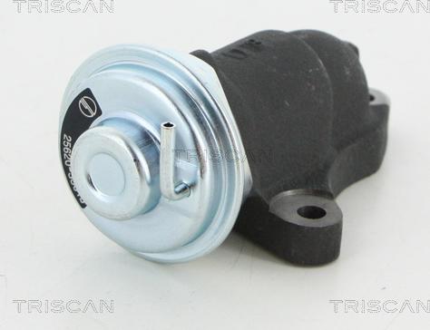 Triscan 8813 13064 - Valvola ricircolo gas scarico-EGR autozon.pro