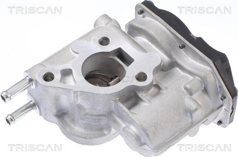 Triscan 8813 13066 - Valvola ricircolo gas scarico-EGR autozon.pro