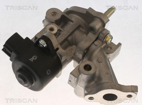 Triscan 8813 13067 - Valvola ricircolo gas scarico-EGR autozon.pro