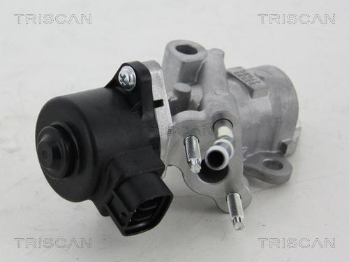 Triscan 8813 13025 - Valvola ricircolo gas scarico-EGR autozon.pro