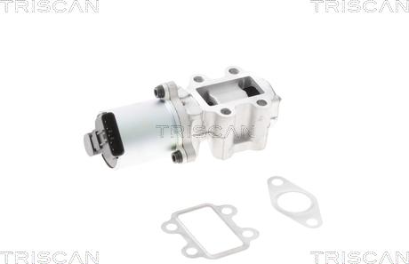 Triscan 8813 13101 - Valvola ricircolo gas scarico-EGR autozon.pro