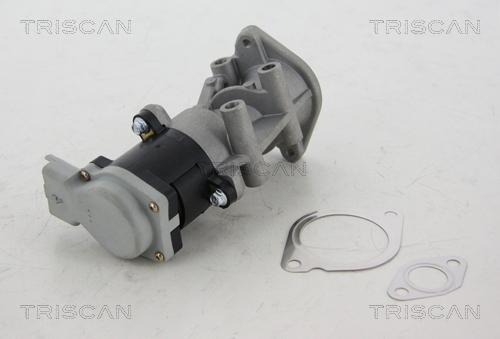 Triscan 8813 17008 - Valvola ricircolo gas scarico-EGR autozon.pro