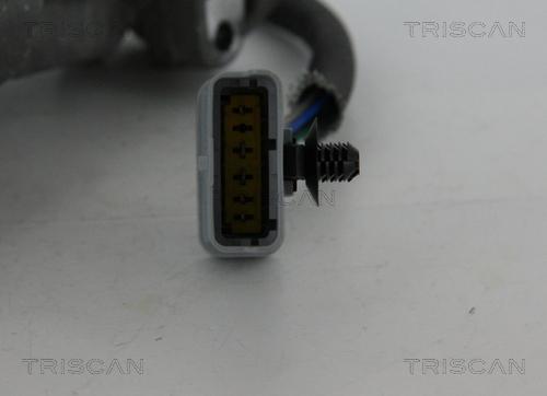 Triscan 8813 17019 - Valvola ricircolo gas scarico-EGR autozon.pro