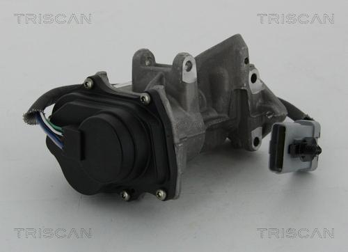 Triscan 8813 17019 - Valvola ricircolo gas scarico-EGR autozon.pro