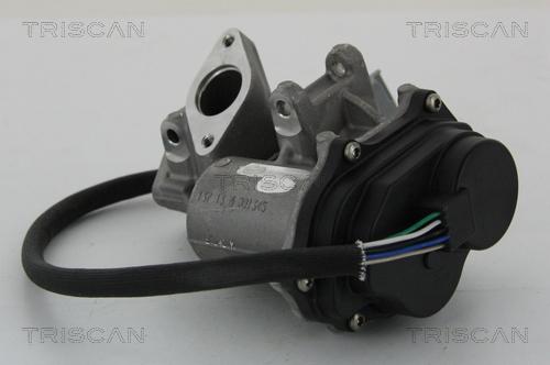 Triscan 8813 17019 - Valvola ricircolo gas scarico-EGR autozon.pro