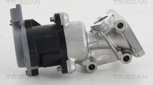 Triscan 8813 17016 - Valvola ricircolo gas scarico-EGR autozon.pro