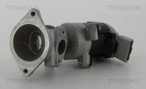 Triscan 8813 17020 - Valvola ricircolo gas scarico-EGR autozon.pro