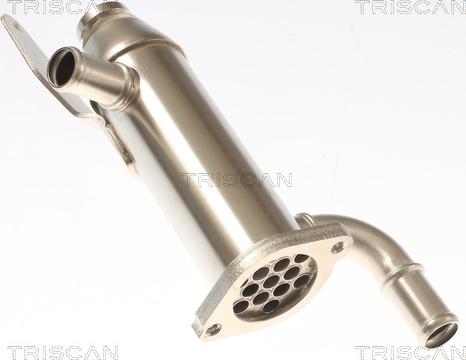 Triscan 8813 17103 - Radiatore, Ricircolo gas scarico autozon.pro