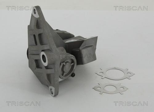 Triscan 8813 29047 - Valvola ricircolo gas scarico-EGR autozon.pro