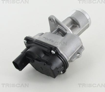 Triscan 8813 29065 - Valvola ricircolo gas scarico-EGR autozon.pro