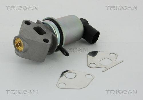 Triscan 8813 29004 - Valvola ricircolo gas scarico-EGR autozon.pro