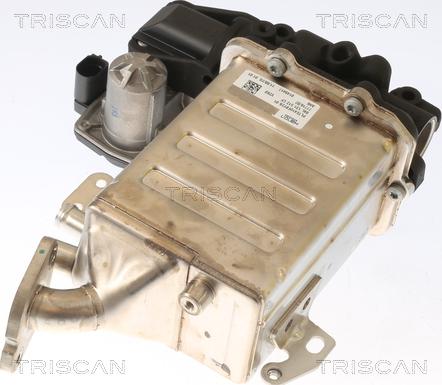 Triscan 8813 29006 - Valvola ricircolo gas scarico-EGR autozon.pro