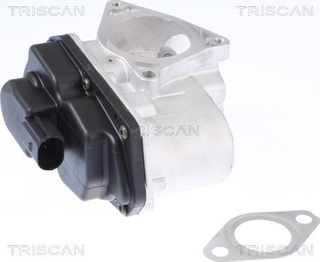 Triscan 8813 29003 - Valvola ricircolo gas scarico-EGR autozon.pro