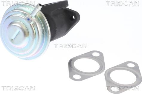 Triscan 8813 29016 - Valvola ricircolo gas scarico-EGR autozon.pro