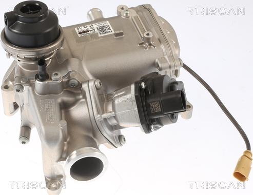 Triscan 8813 29013 - Valvola ricircolo gas scarico-EGR autozon.pro