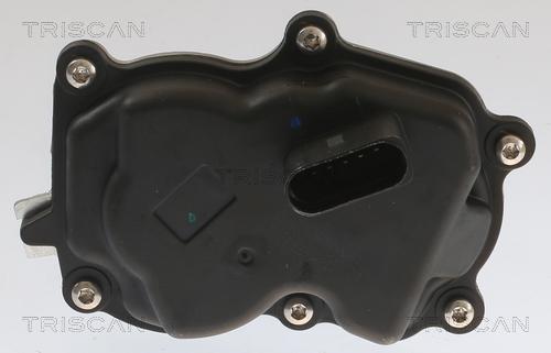 Triscan 8813 29083 - Valvola ricircolo gas scarico-EGR autozon.pro