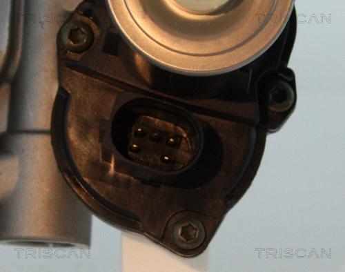 Triscan 8813 29102 - Valvola ricircolo gas scarico-EGR autozon.pro