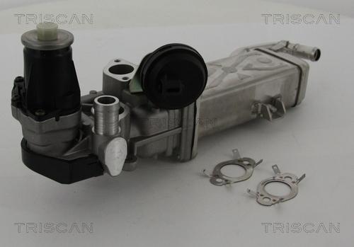 Triscan 8813 29102 - Valvola ricircolo gas scarico-EGR autozon.pro