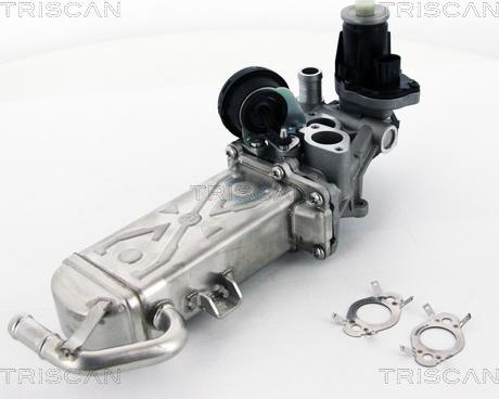 Triscan 8813 29102 - Valvola ricircolo gas scarico-EGR autozon.pro