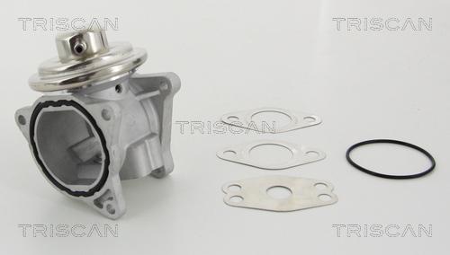 Triscan 8813 29111 - Valvola ricircolo gas scarico-EGR autozon.pro