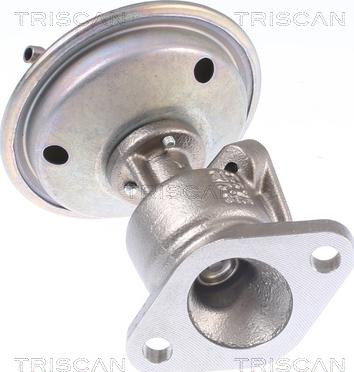 Triscan 8813 29340 - Valvola ricircolo gas scarico-EGR autozon.pro