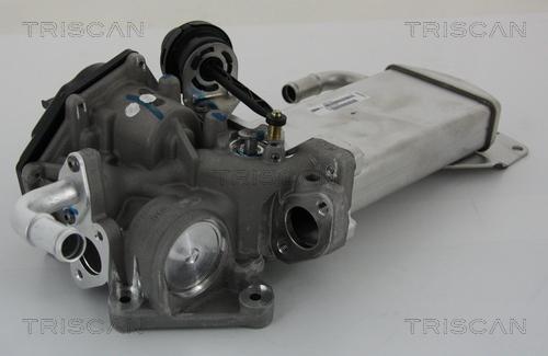 Triscan 8813 29303 - Valvola ricircolo gas scarico-EGR autozon.pro