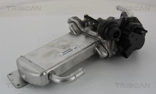 Triscan 8813 29303 - Valvola ricircolo gas scarico-EGR autozon.pro