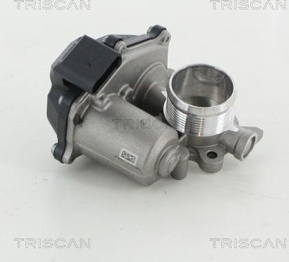 Triscan 8813 29316 - Valvola ricircolo gas scarico-EGR autozon.pro