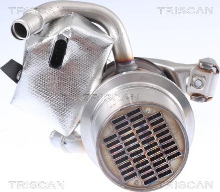 Triscan 8813 29337 - Valvola ricircolo gas scarico-EGR autozon.pro