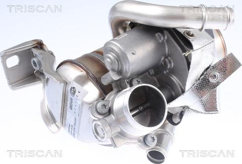 Triscan 8813 29337 - Valvola ricircolo gas scarico-EGR autozon.pro