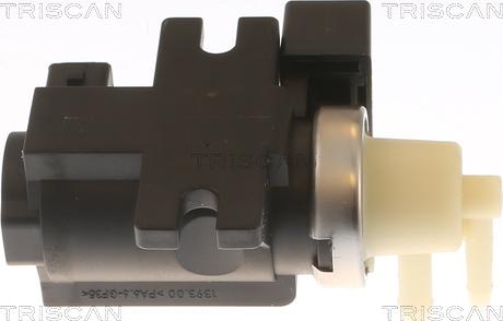 Triscan 8813 24058 - Convertitore pressione, Controllo gas scarico autozon.pro