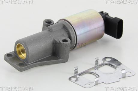 Triscan 8813 24010 - Valvola ricircolo gas scarico-EGR autozon.pro