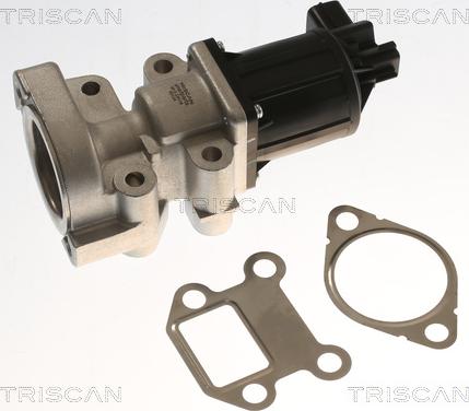 Triscan 8813 24018 - Valvola ricircolo gas scarico-EGR autozon.pro