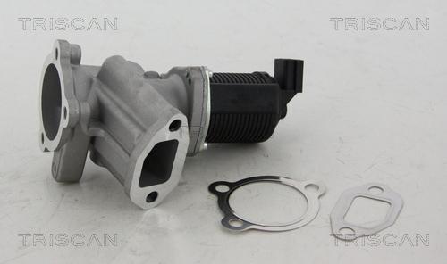 Triscan 8813 24012 - Valvola ricircolo gas scarico-EGR autozon.pro