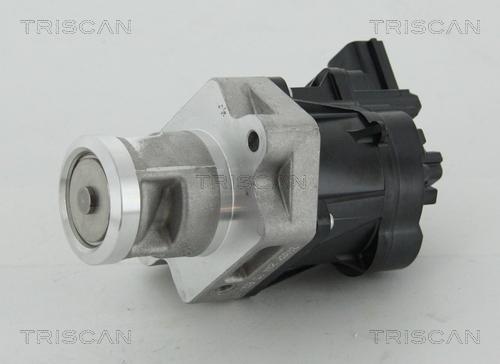 Triscan 8813 24083 - Valvola ricircolo gas scarico-EGR autozon.pro