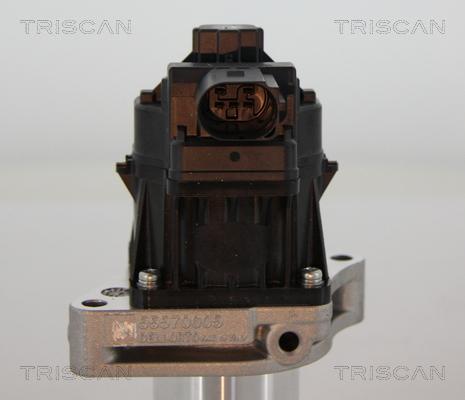 Triscan 8813 24205 - Valvola ricircolo gas scarico-EGR autozon.pro