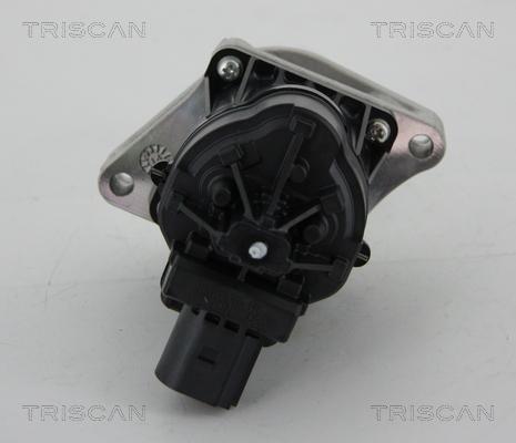 Triscan 8813 24205 - Valvola ricircolo gas scarico-EGR autozon.pro