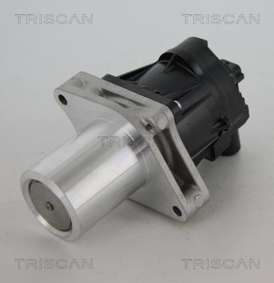 Triscan 8813 24205 - Valvola ricircolo gas scarico-EGR autozon.pro