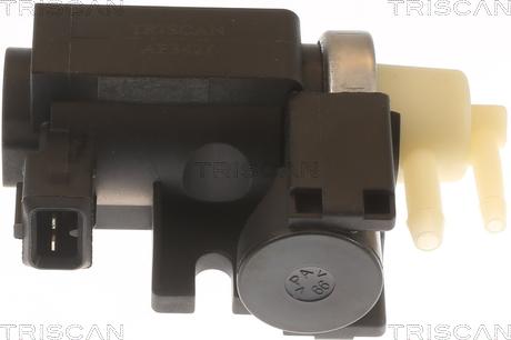 Triscan 8813 25045 - Convertitore pressione, Controllo gas scarico autozon.pro