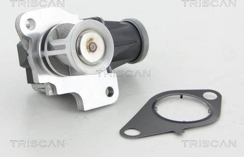 Triscan 8813 25040 - Valvola ricircolo gas scarico-EGR autozon.pro