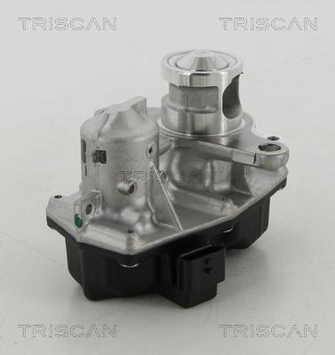 Triscan 8813 25042 - Valvola ricircolo gas scarico-EGR autozon.pro