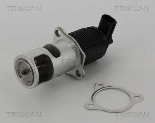 Triscan 8813 25005 - Valvola ricircolo gas scarico-EGR autozon.pro